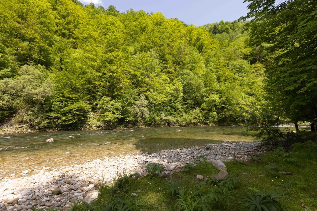 Treehouse Kupari Nacionalni Park Risnjak Cabar Esterno foto